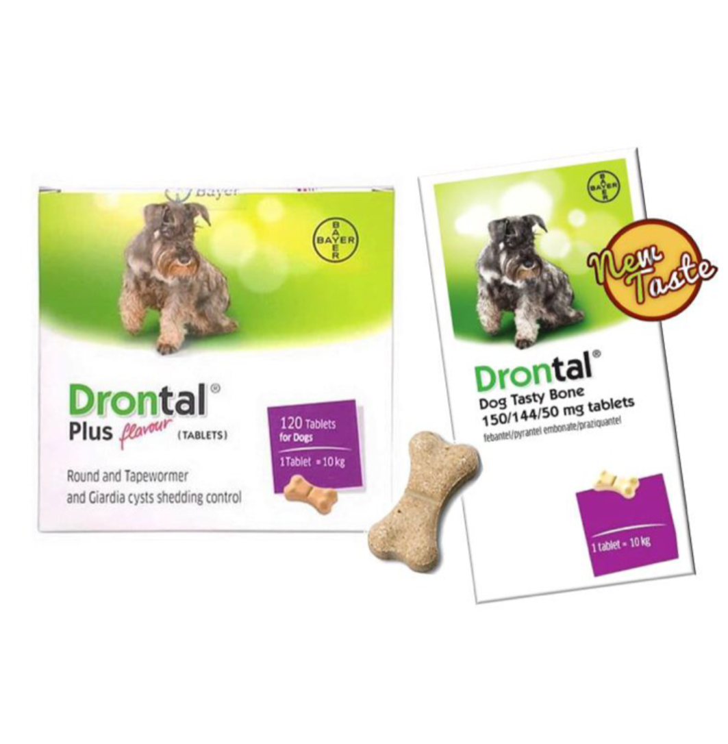 PERBIJI Drontal Dog Plus Tasty Obat Cacing Anjing Asli Original