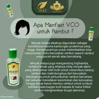 Obat Ketombe Rambut Rontok Kutu Rambut Rusak Botak Rambut Bercabang Menyuburkan Rambut Lazada Indonesia