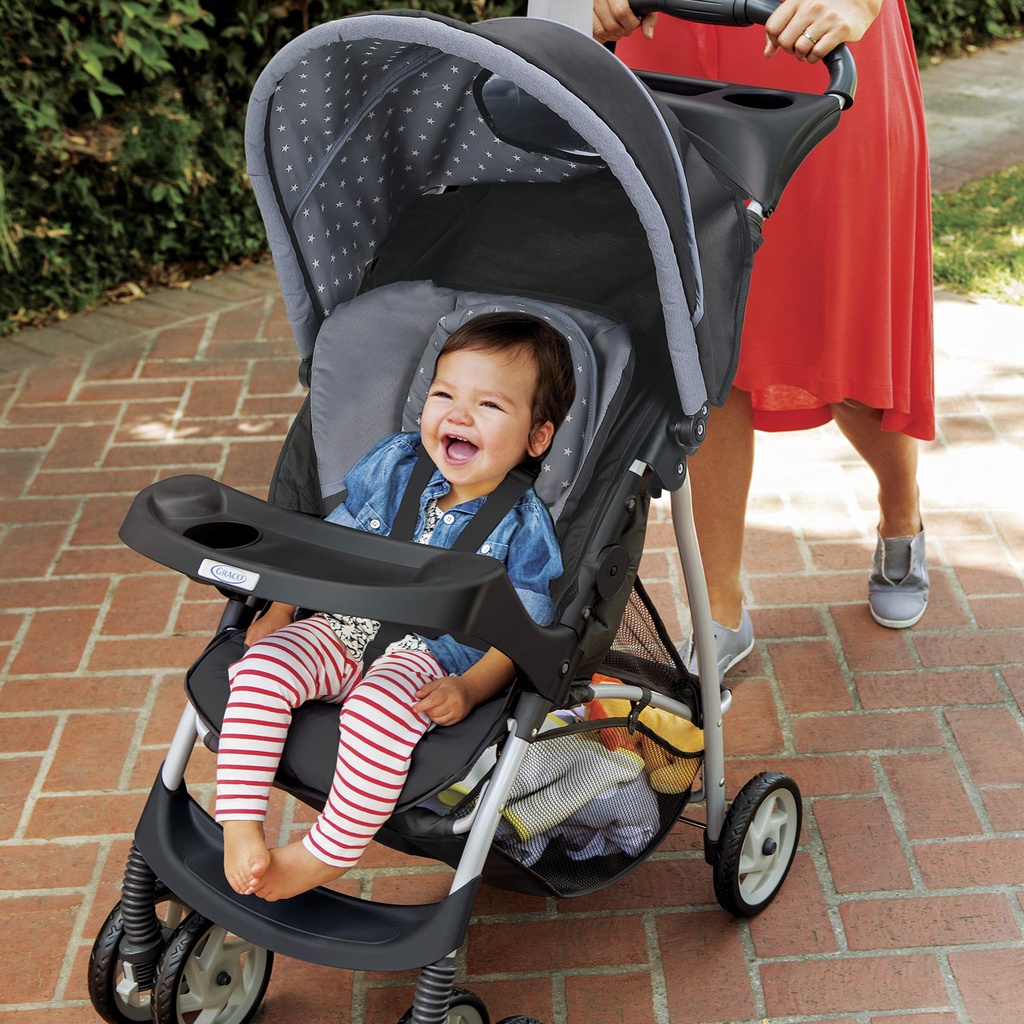 Graco store literider hudson