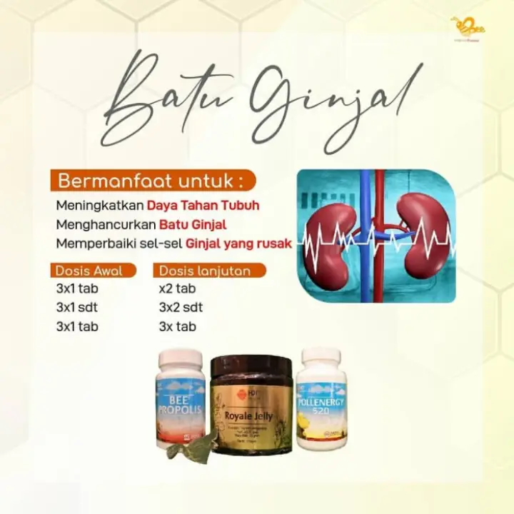 Paket Hdi Untuk Batu Ginjal Lazada Indonesia