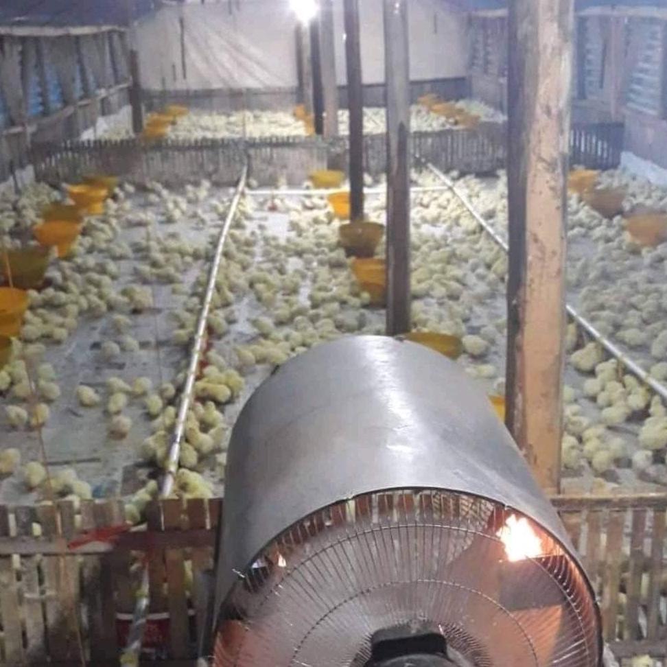 BLOWER PEMANAS AYAM BROILER HEMAT