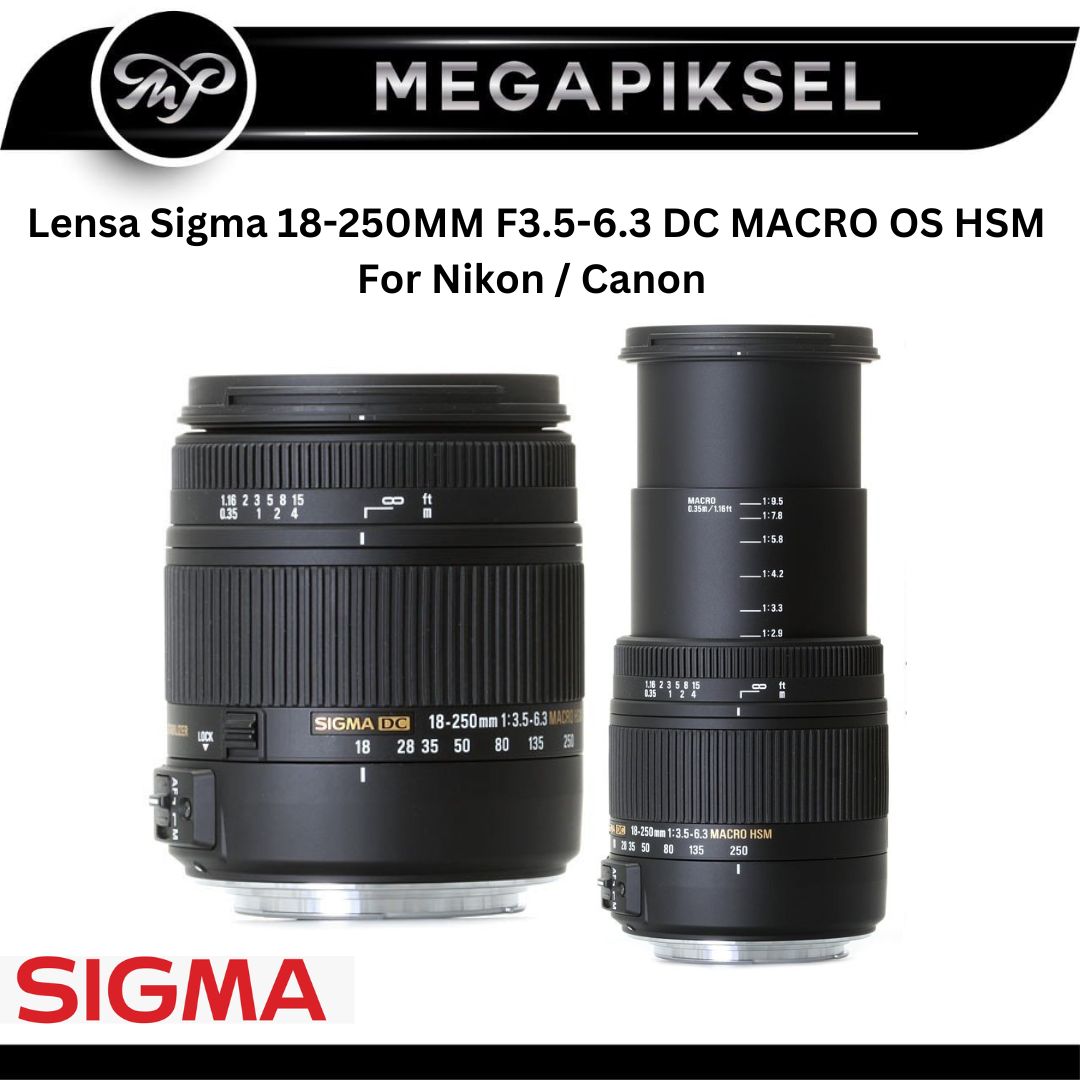 シグマ 18-250mm f 3.5-6.3 OS HSM DCレンズ ニコン用 - レンズ(ズーム)