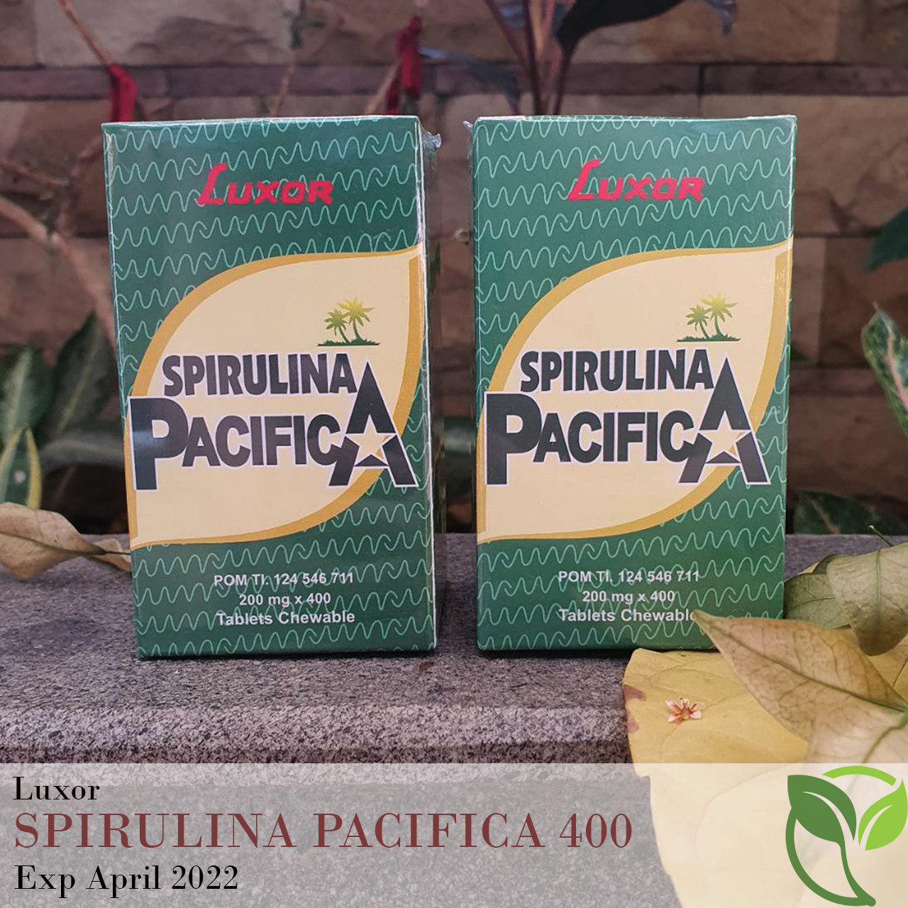 SPIRULINA PACIFICA LUXOR 400 TABLET Lazada Indonesia