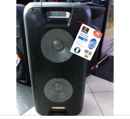 speaker asatron 10 inch