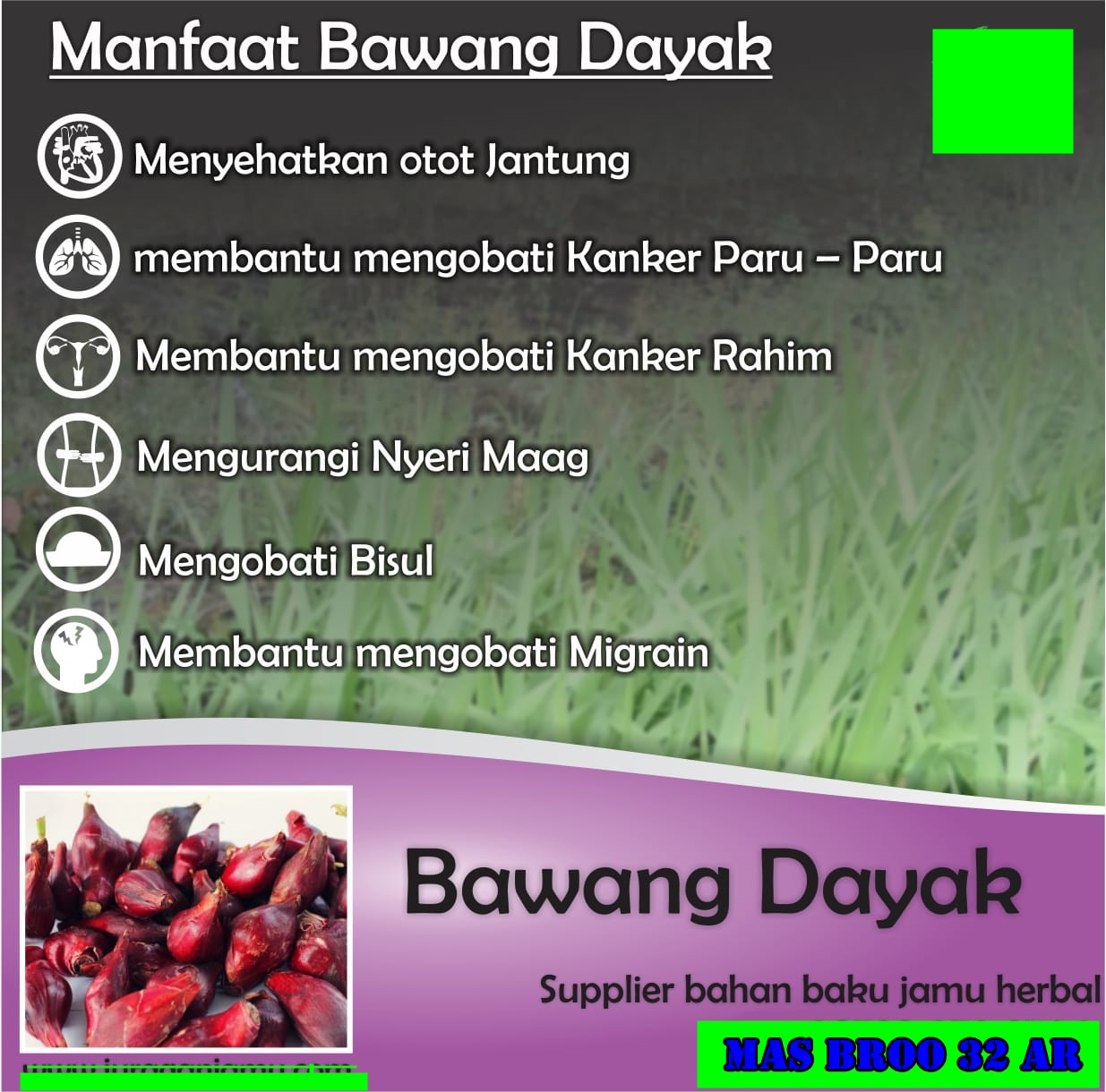 Obat Herbal Bawang Dayak Asli Kalimantan Obat Kanker Paru Paru Obat Mag Asam Lambung Obat Bisul Migrain Lazada Indonesia