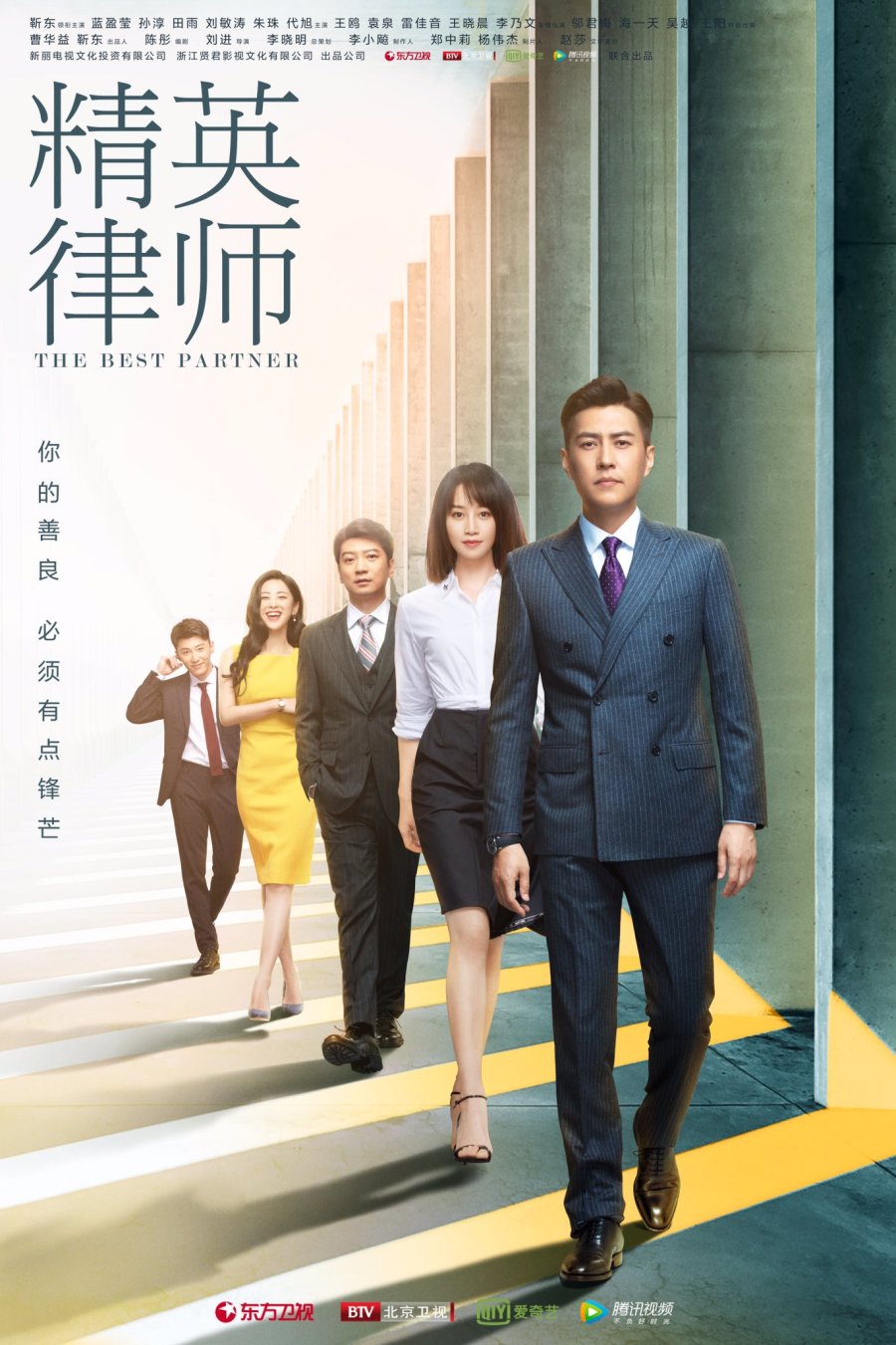 DVD Drama China The Best Partner (2019)