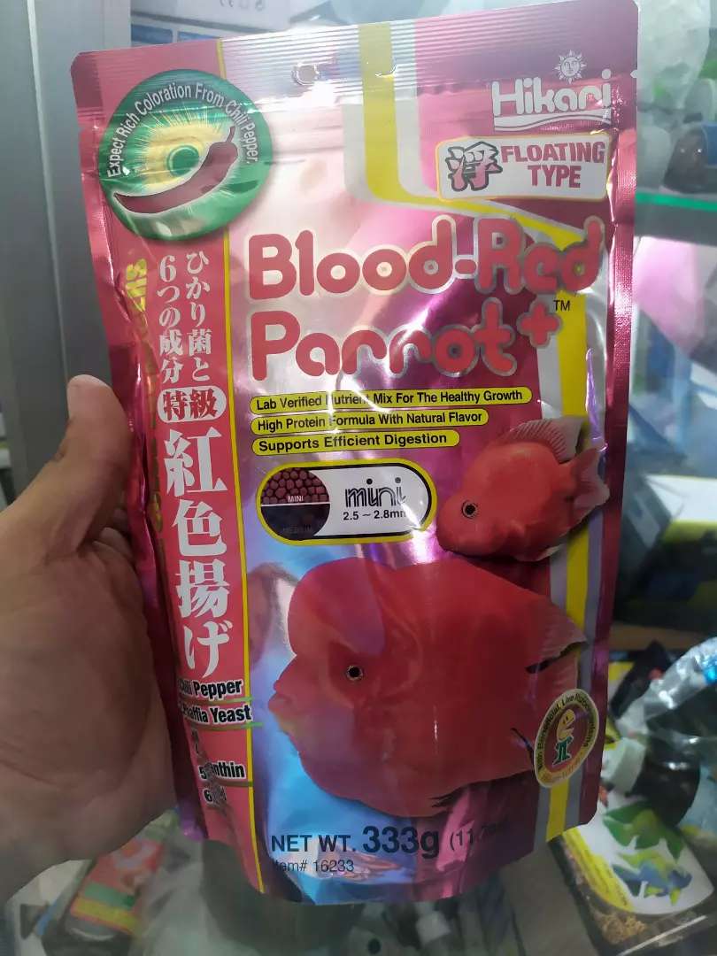 red blood parrot hikari