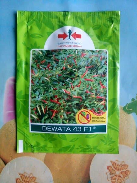 Benih Tanaman - Cabe Rawit Setan DEWATA 43 F1 2250 Biji