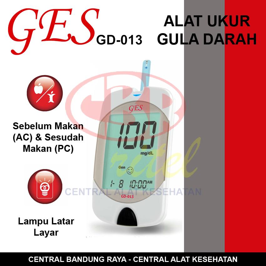 Paket Lengkap Alat Cek Gula Darah / Glucometer GES GD-013