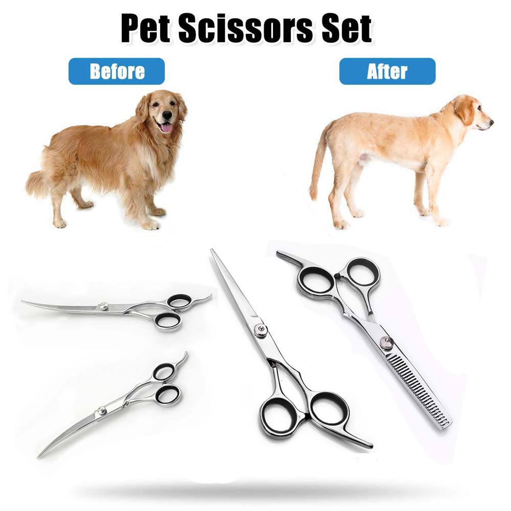 what are the best dog grooming shears