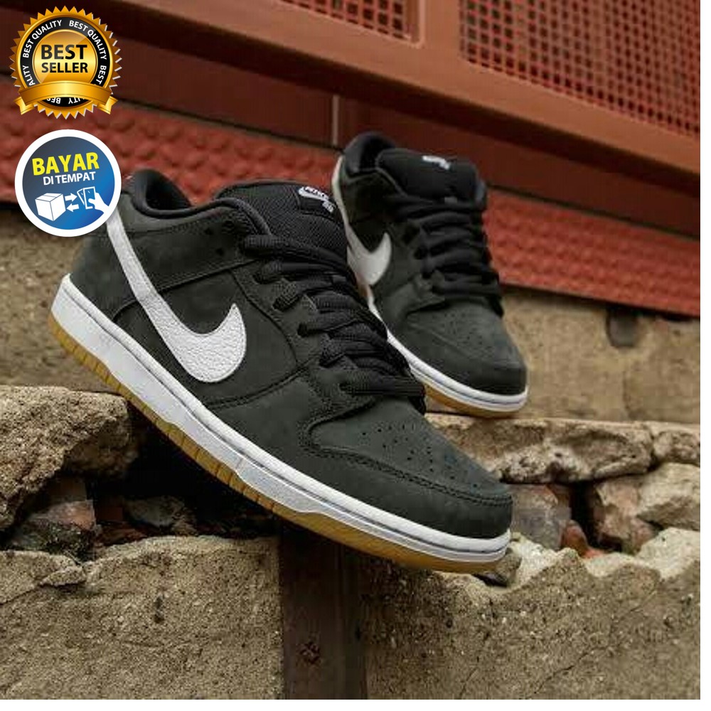 sb dunk low pro skate