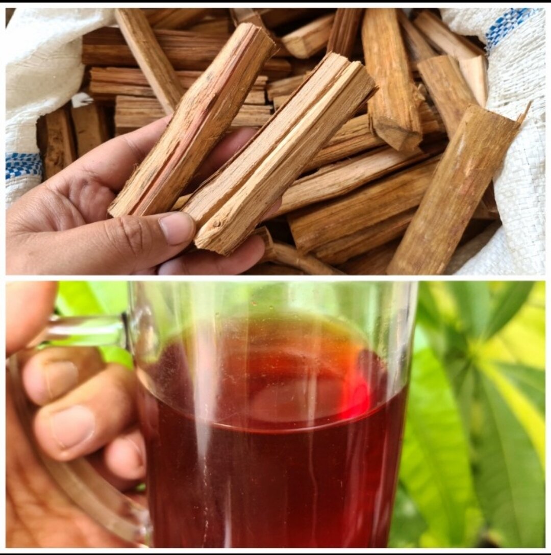 Kayu Bajakah Kalimantan 250gr Lazada Indonesia