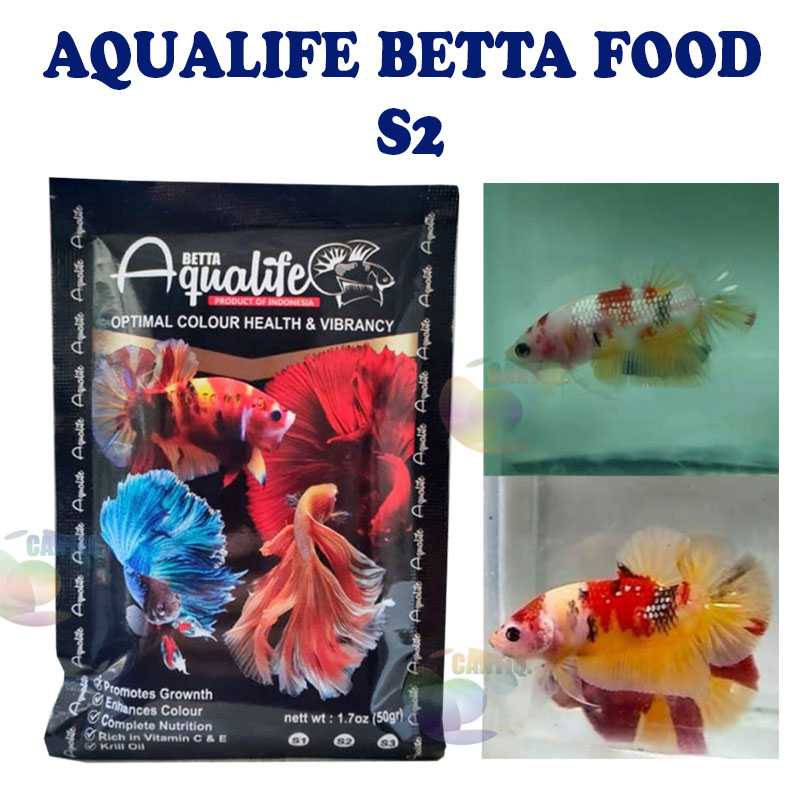 Pelet Ikan Cupang AQUALIFE BETTA FOOD S2 Pakan Cupang Aqualife UNTUK MENINGKATKAN WARNA BETTA Makanan Ikan Cupang Pelet Premium Ikan Cupang Pakan Ikan Hias Berkualitas Makanan Cupang Pakan Ikan Cupang...