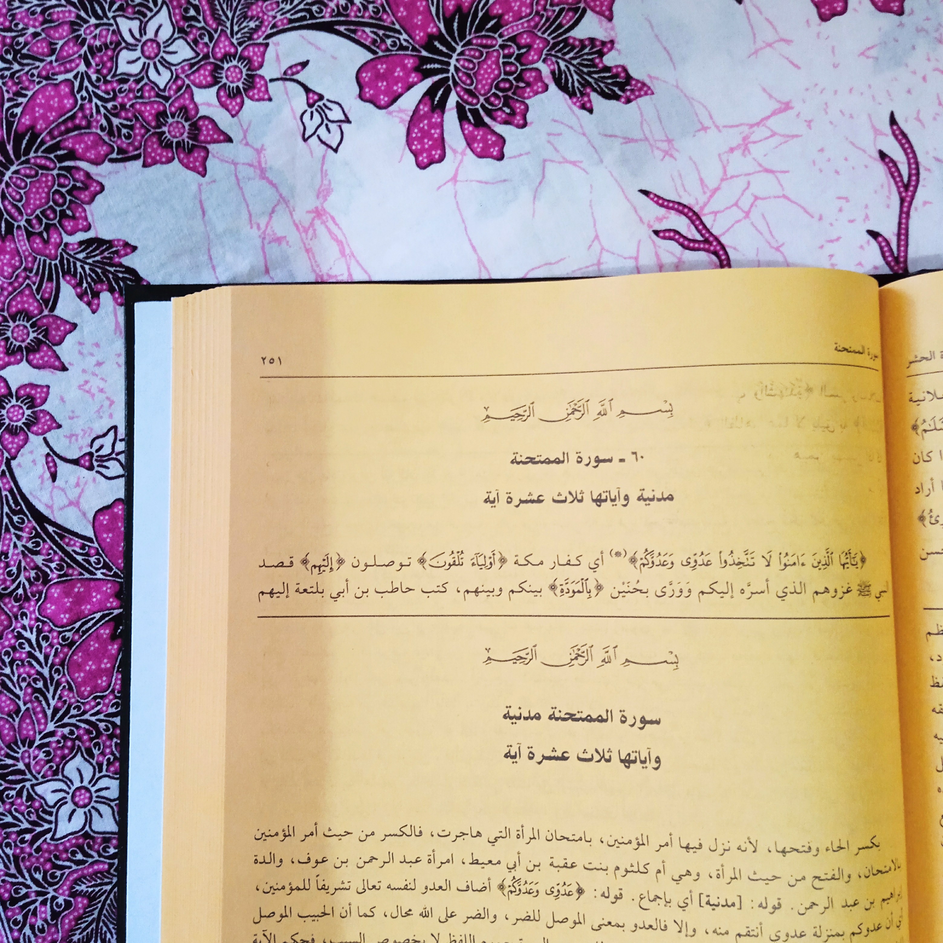 Fallout New Vegas порно модалары