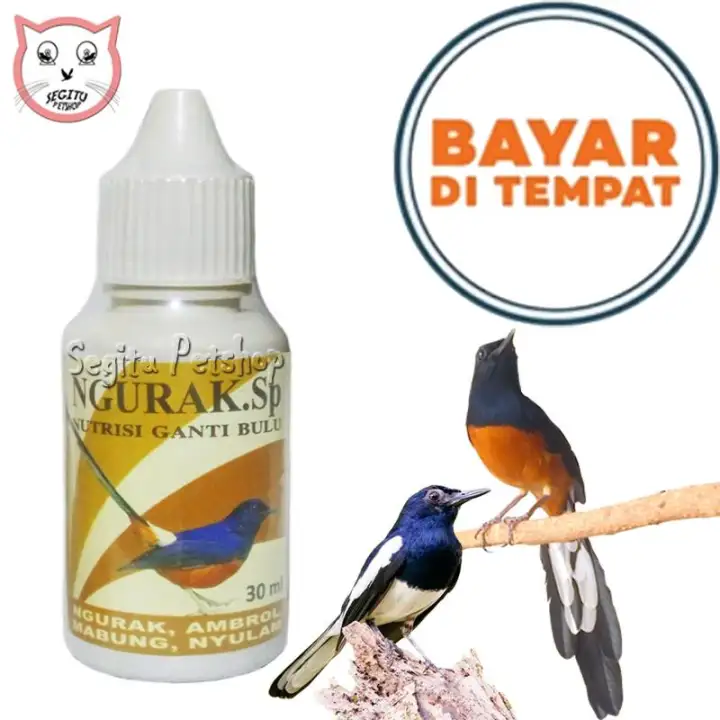 15 Vitamin Burung Kacer Yang Bagus Disertai Harga Dan Manfaat Burungnya Com