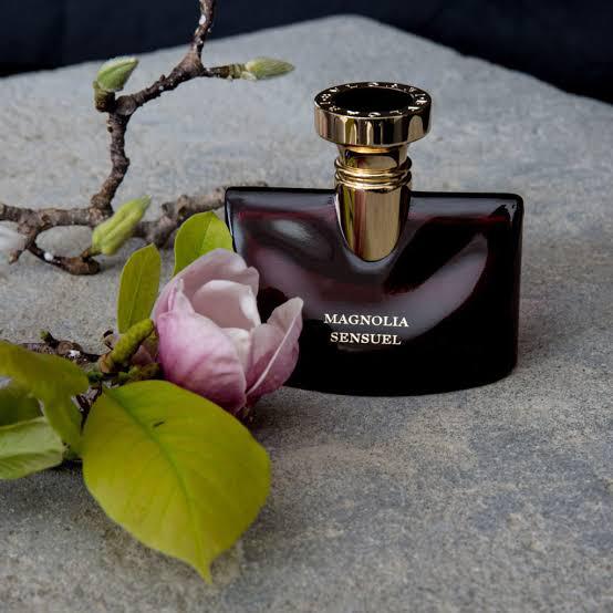 bvlgari splendida magnolia sensual