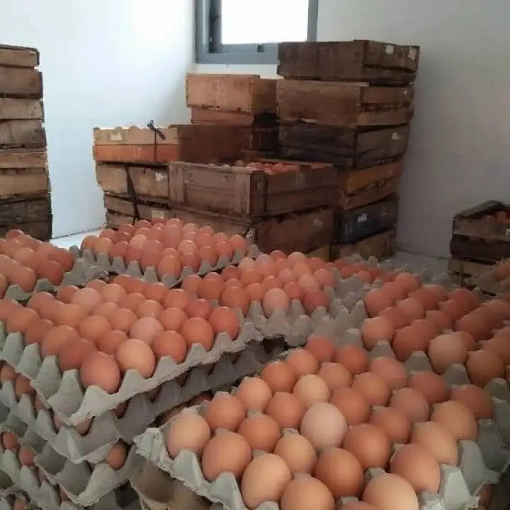 Telur Ayam 1 Tray 1 Ikat 1 Peti Negeri Fresh Lazada Indonesia