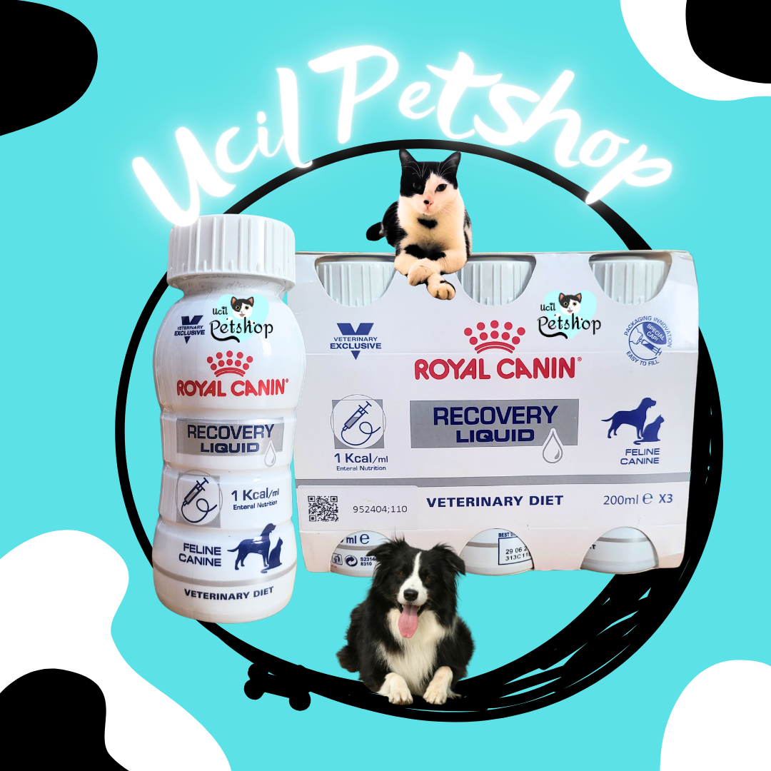ROYAL CANIN Recovery Liquid 8oz 4本セット