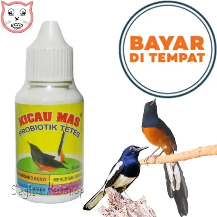 Vitamin Burung Kicau Gacor Murai Kacer Cucok Ijo Ciblek Kenari