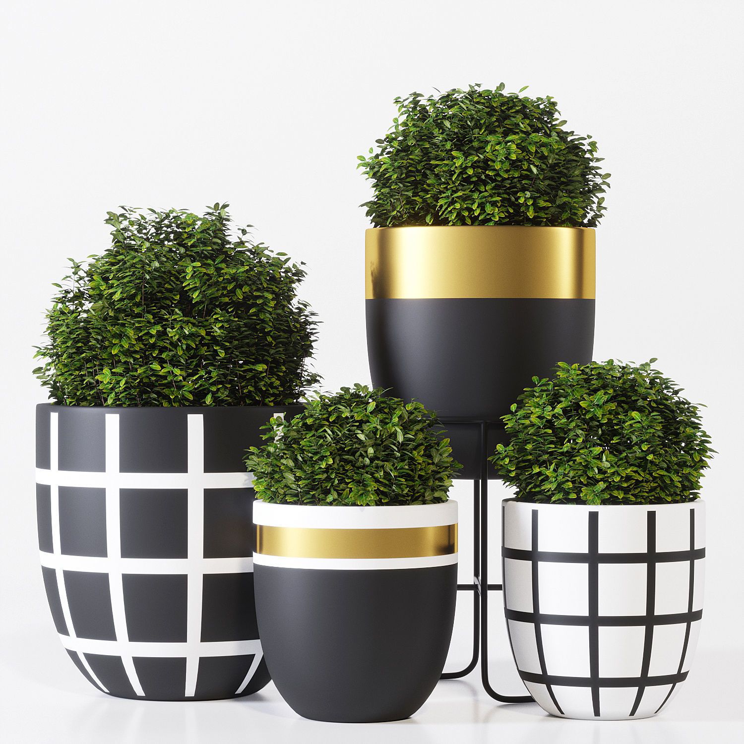 Ungu Pasir Keramik Pot Bunga Kaktus Sukulen Lukisan Pied Magpie Porselen  Pot Pasu Bunga Kecil - AliExpress