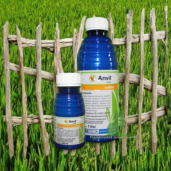 Fungisida Anvil 50sc Ampuh Mengendalikan Jamur Segala Tanaman Pertanian 250ml Lazada Indonesia