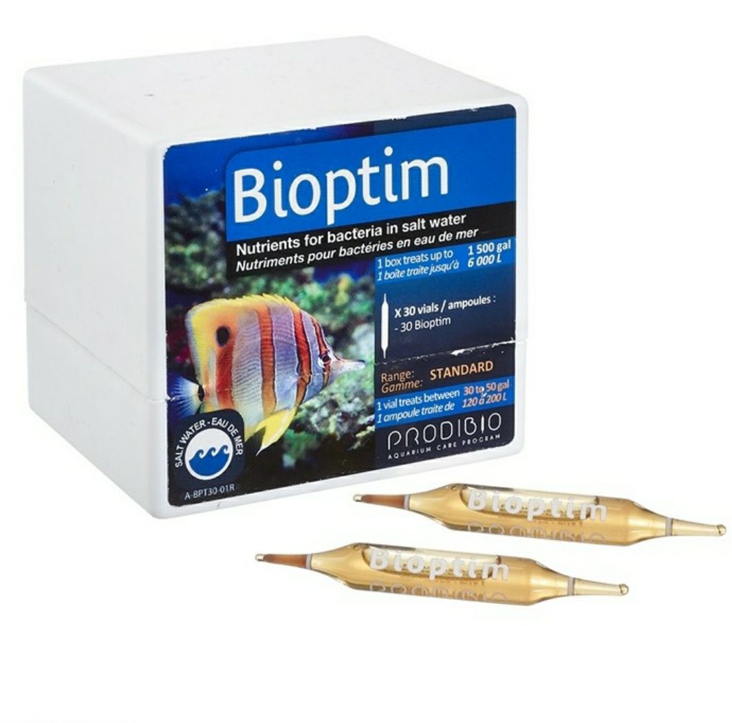 Prodibio Bioptim 1 Vial Ampul living Bacteria Bakteri Starter / Makanan ...
