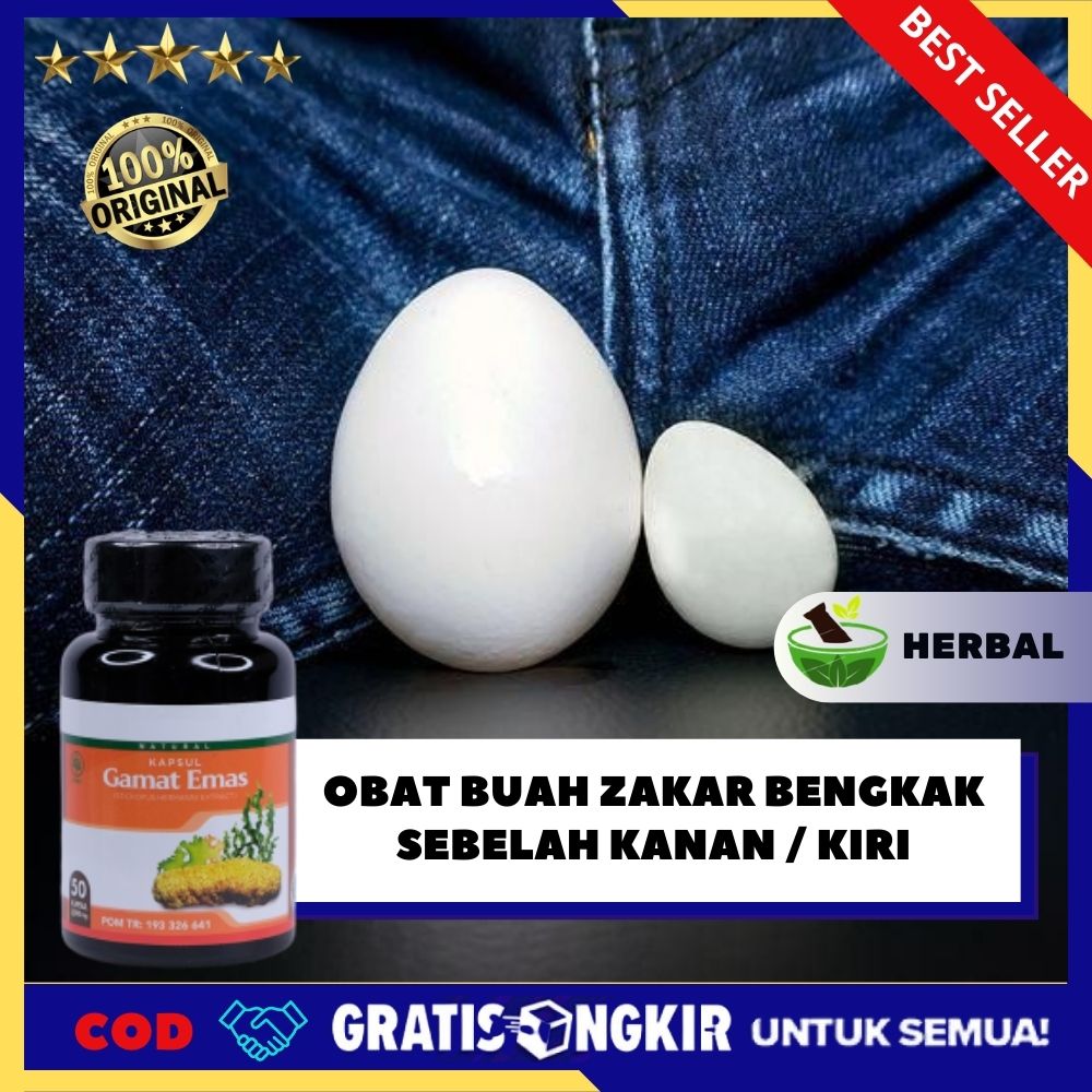 Ramuan Herbal Obat Buah Zakar Bengkak Sebelah Kanan Kiri Obat Testis Gede Sebelah Varikokel Obat Benjolan Kelamin Pria Hidrokel Penghilang Benjolan Buah Zakar Obat Nyeri Testis Mengobati Sakit Testis Bengkak