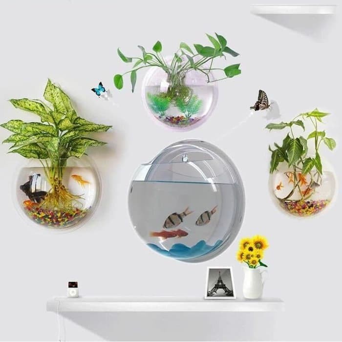 Aquarium Mini Tempel Gantung Hiasan Dinding Tanaman Ikan Hanging Bowl Dan Ikan Cupang Lazada Indonesia