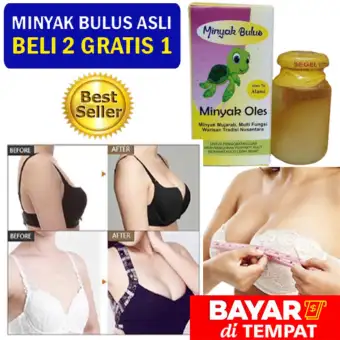 Minyak Bulus Original Beli 2 Gratis 1 Pembesar Payudara Ampuh Pengencang Payudara Jual Minyak Bulus Asli Minyak Bulus 10 Ml Minyak Bulus Murah Lazada Indonesia