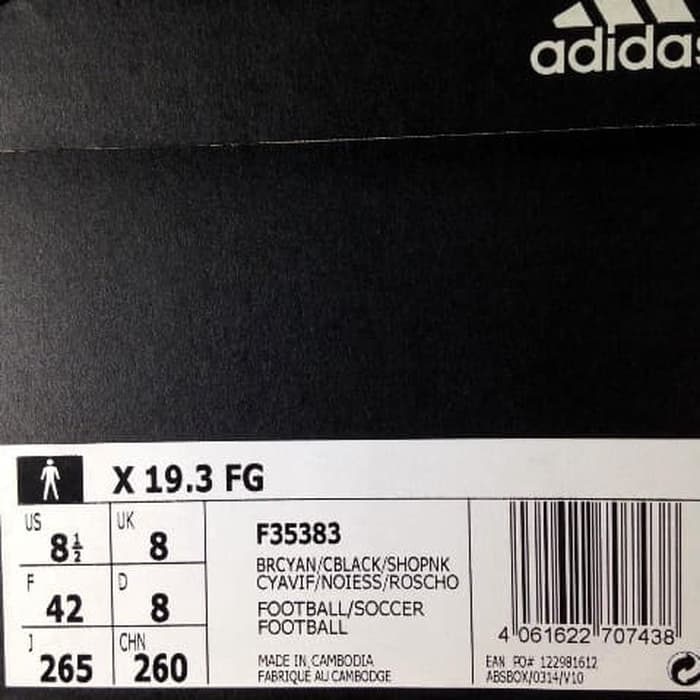 Sepatu Bola Adidas X 19.3 FG Brcyan 