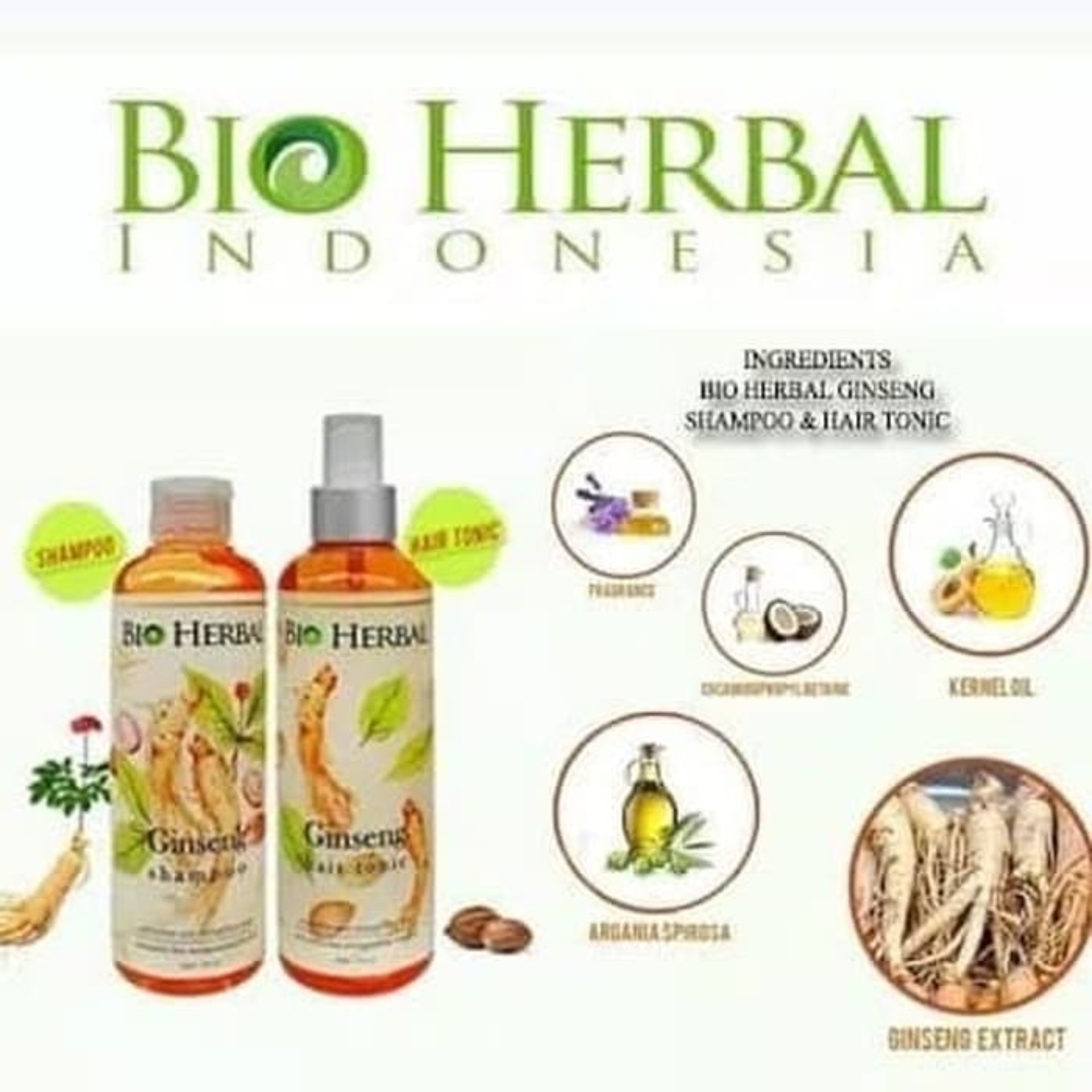 Bio Herbal Ginseng Paket Shampo + Hair Tonic Mengatasi Ketombe dan