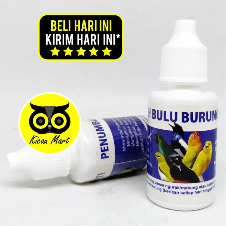 Jual Obat Penumbuh Bulu Burung Sempati Kota Surakarta Tantin Store Tokopedia