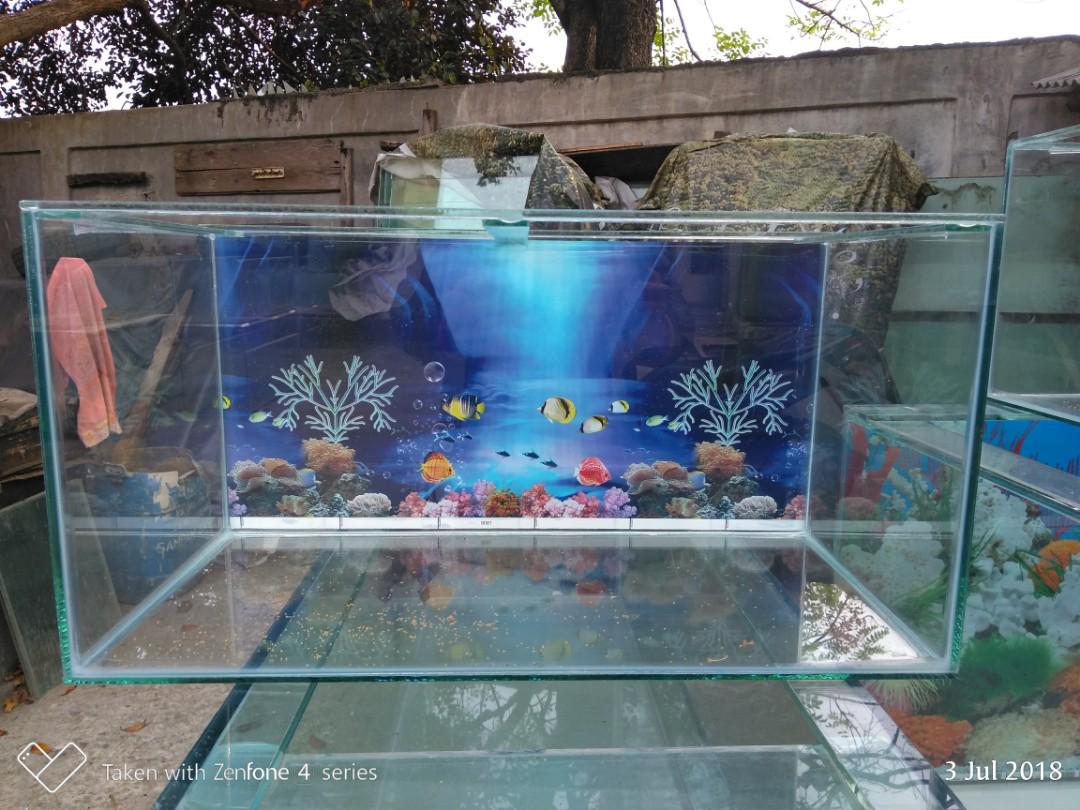 Akuarium Kaca Ukuran P60 X L30 X T30 Lazada Indonesia Aquarium panjang 60 cm Akuarium Kaca Ukuran P60 X L30 X T30 Lazada Indonesia Aquarium panjang 60 cm