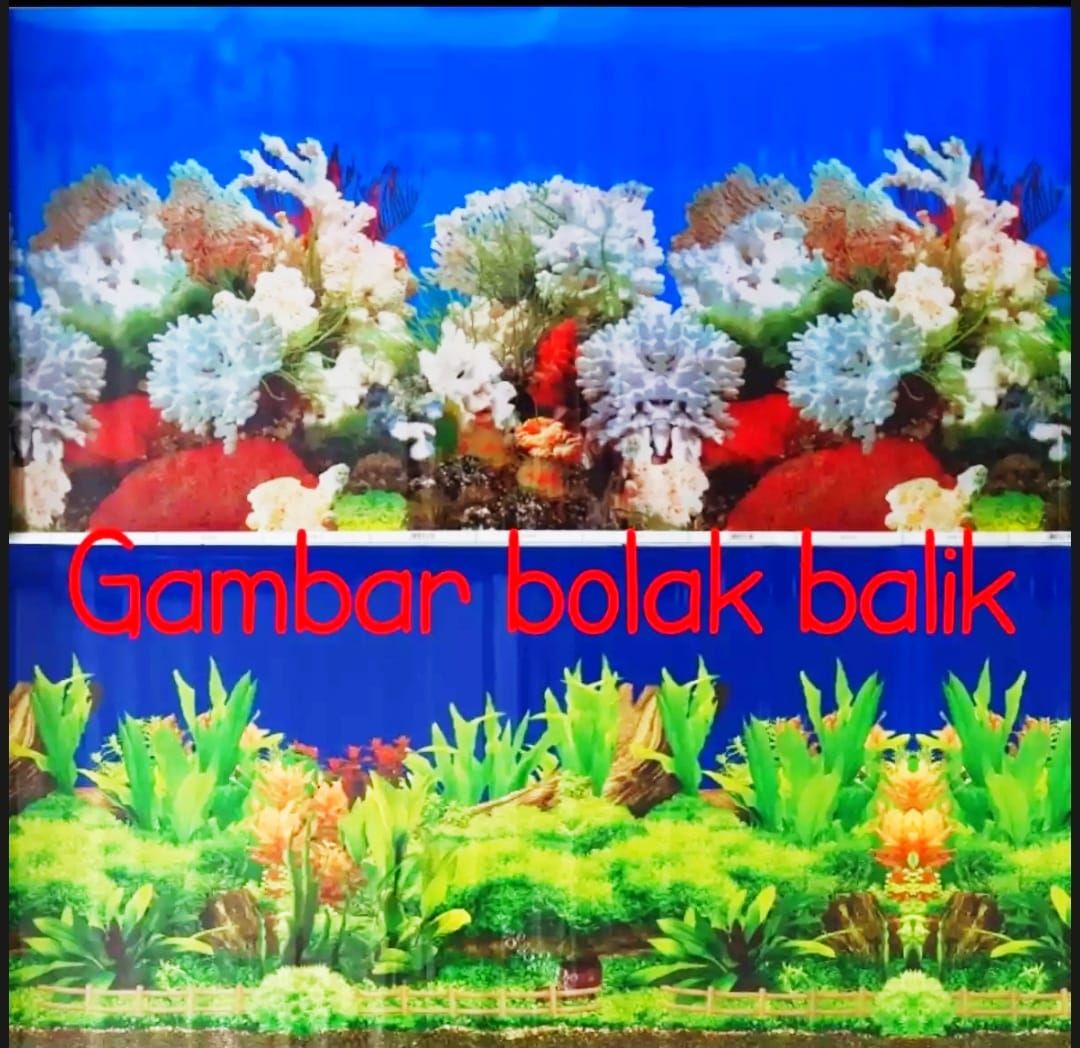 Wallpaper Aquarium Tinggi 40Cm x Panjang 100Cm Background Akuarium