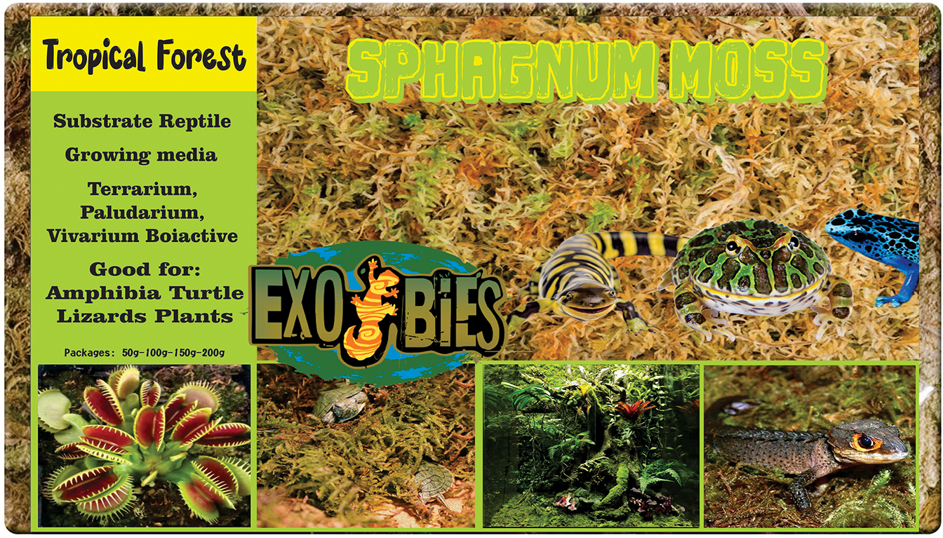 Sphagnum Moss Substrate Reptile, Substrate Paludarium, Vivarium