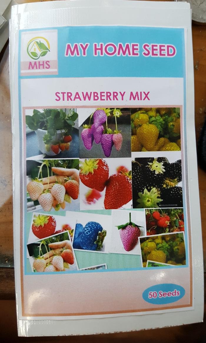 PROMO benih / bibit strawberry mix (MHS) - eDlsnNHp
