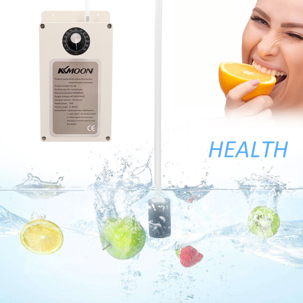 Multifunctional Home Water Air Purifier 2000mg/h Portable Oz-one Machine