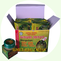 Herbal Ektrak Daun Maja Obat Atasi Penyakit Kulit - 1Box(20sachet) + Salep Kulit Daun Maja
