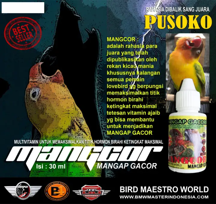 Mangcor Mangap Gacor Bmw Membeli Jualan Online Makanan Burung Dengan Harga Murah Lazada Indonesia