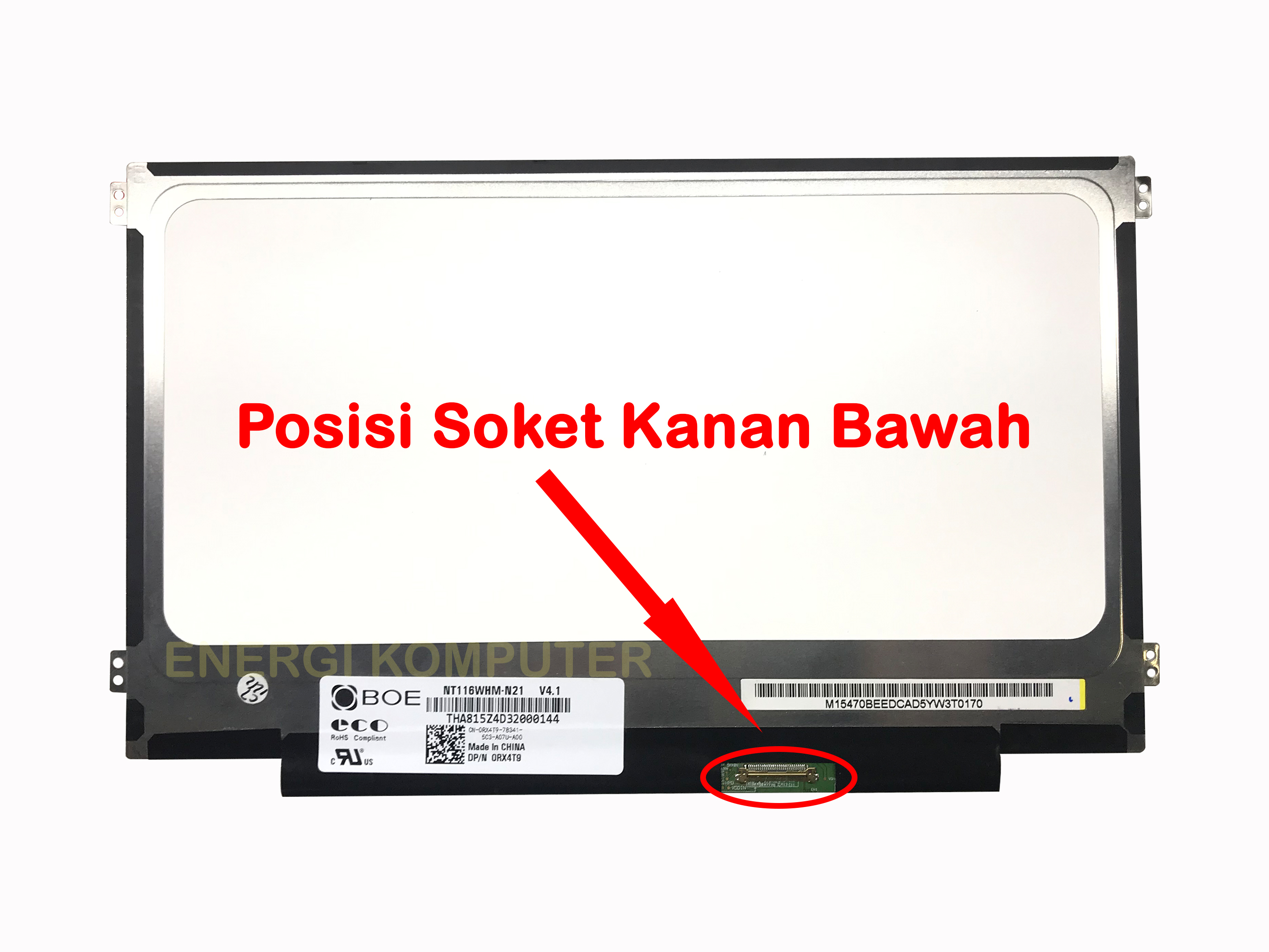 周辺機器セット 数量限定ウィンドスクリーン付属] ZOOM H2 essential × アクセサリー