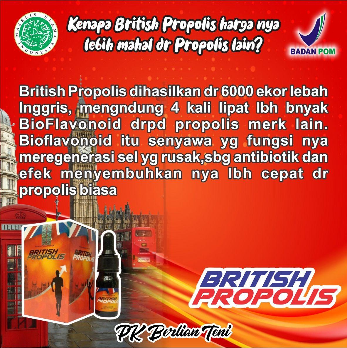 British Lazada Propolis