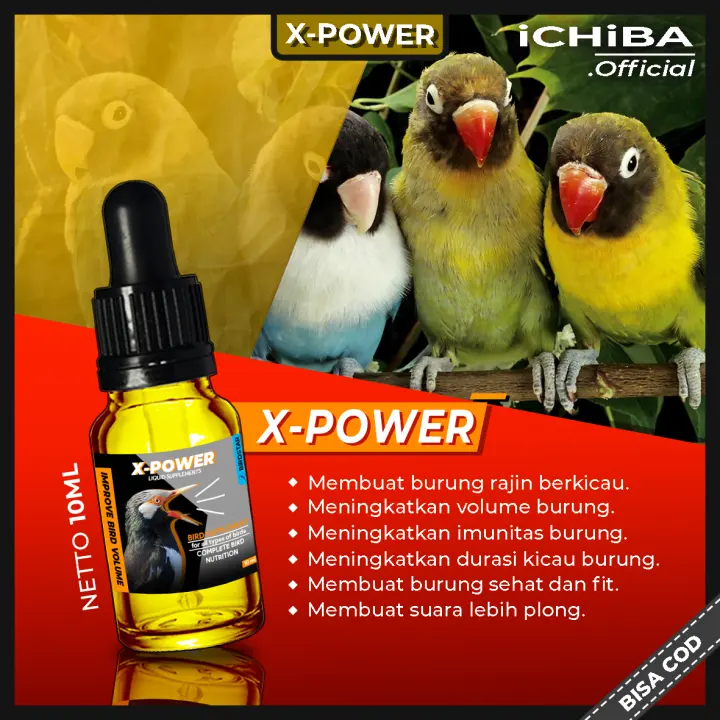 Jual Xp4 X Power Obat Burung Vitamin Burung Pakan Burung Voer Burung Love Kab Semarang Ryd Project Tokopedia