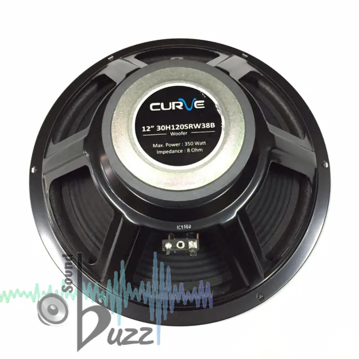 speaker curve 12 inch woofer