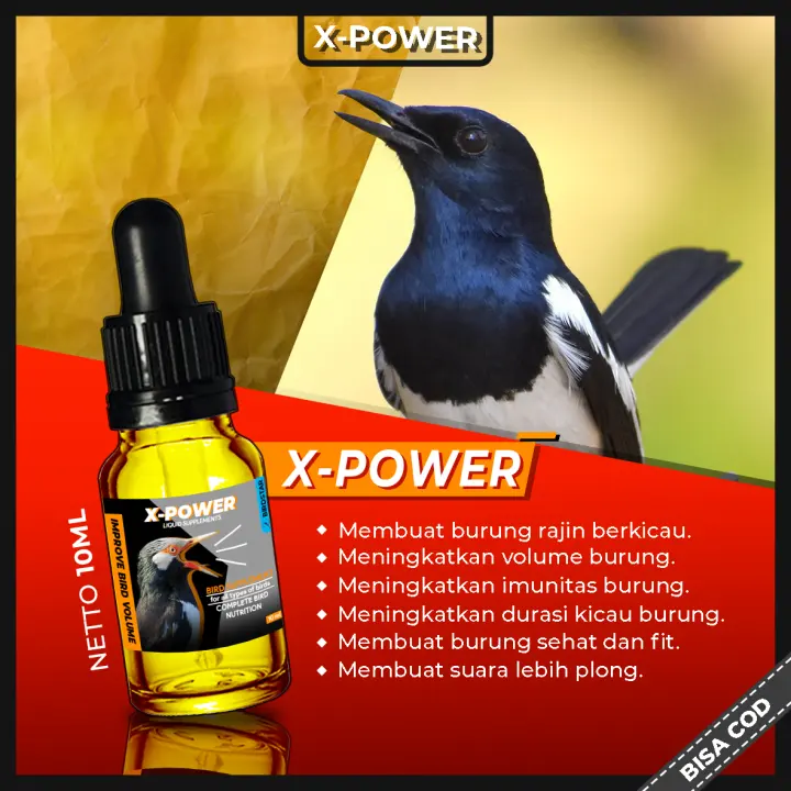 Dewa Mabuk Doping Vitamin Burung Anis Kembang Anis Bata Murai Kacer Pleci Shopee Indonesia