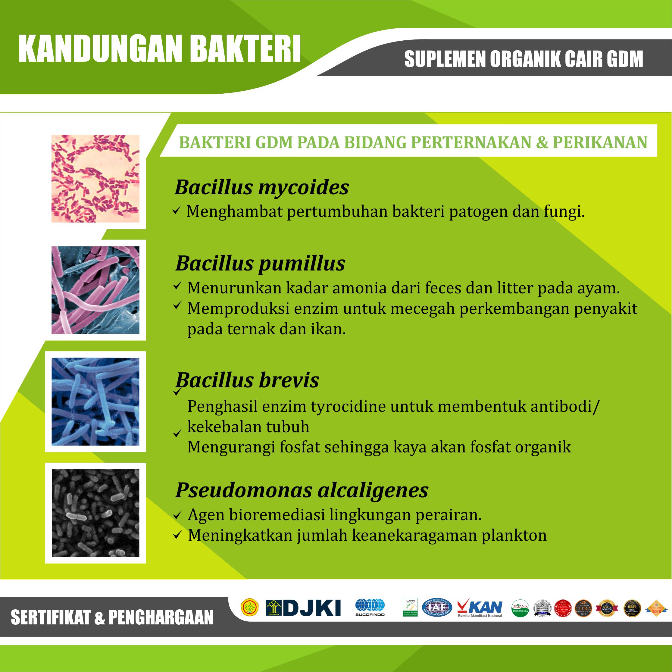 Phân Bón Lỏng Aquascape Organic GDM 5 Lít