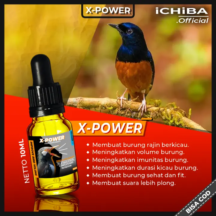 Cara Merawat Burung Prenjak Kepala Merah Pakan Multivitamin