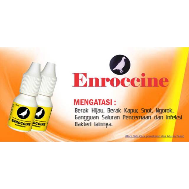 Jual Raja Ngorok Merpati Obat Anti Ngorok Khusus Merpati Di Lapak Wandy Haryanto Bukalapak