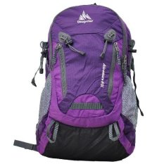 One Polar Tas Ransel Laptop Hiking 1311 - Ungu