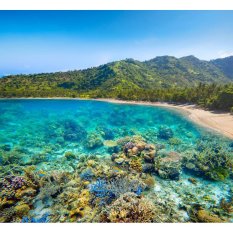 Travel Tour - 3D2N Lombok Tour