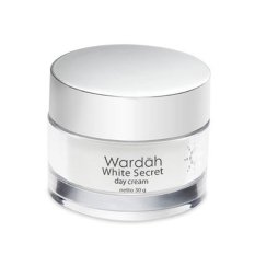 Wardah White Secret Day Cream 30gr